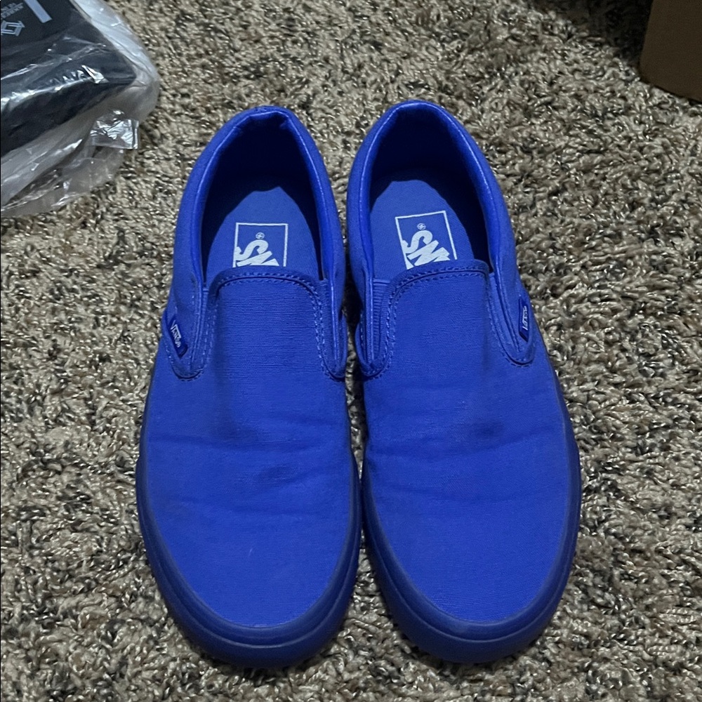 Vans Women's Blue Slip-On Shoes